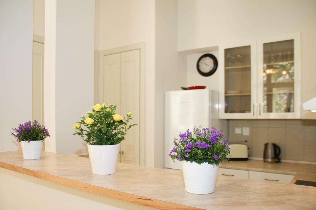Apartment Vinohrady Belgicka *