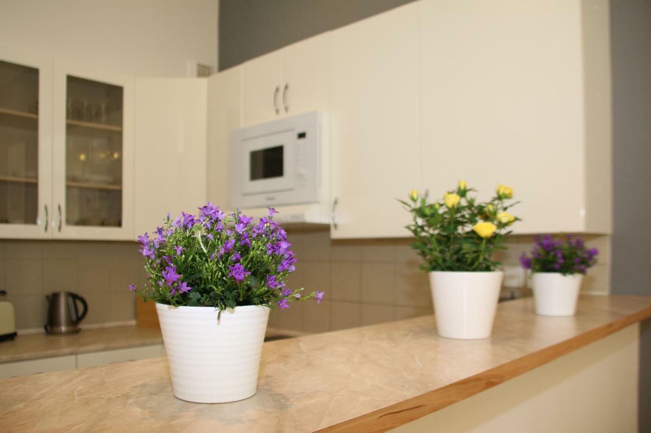 Vinohrady Belgicka Apartment Prague