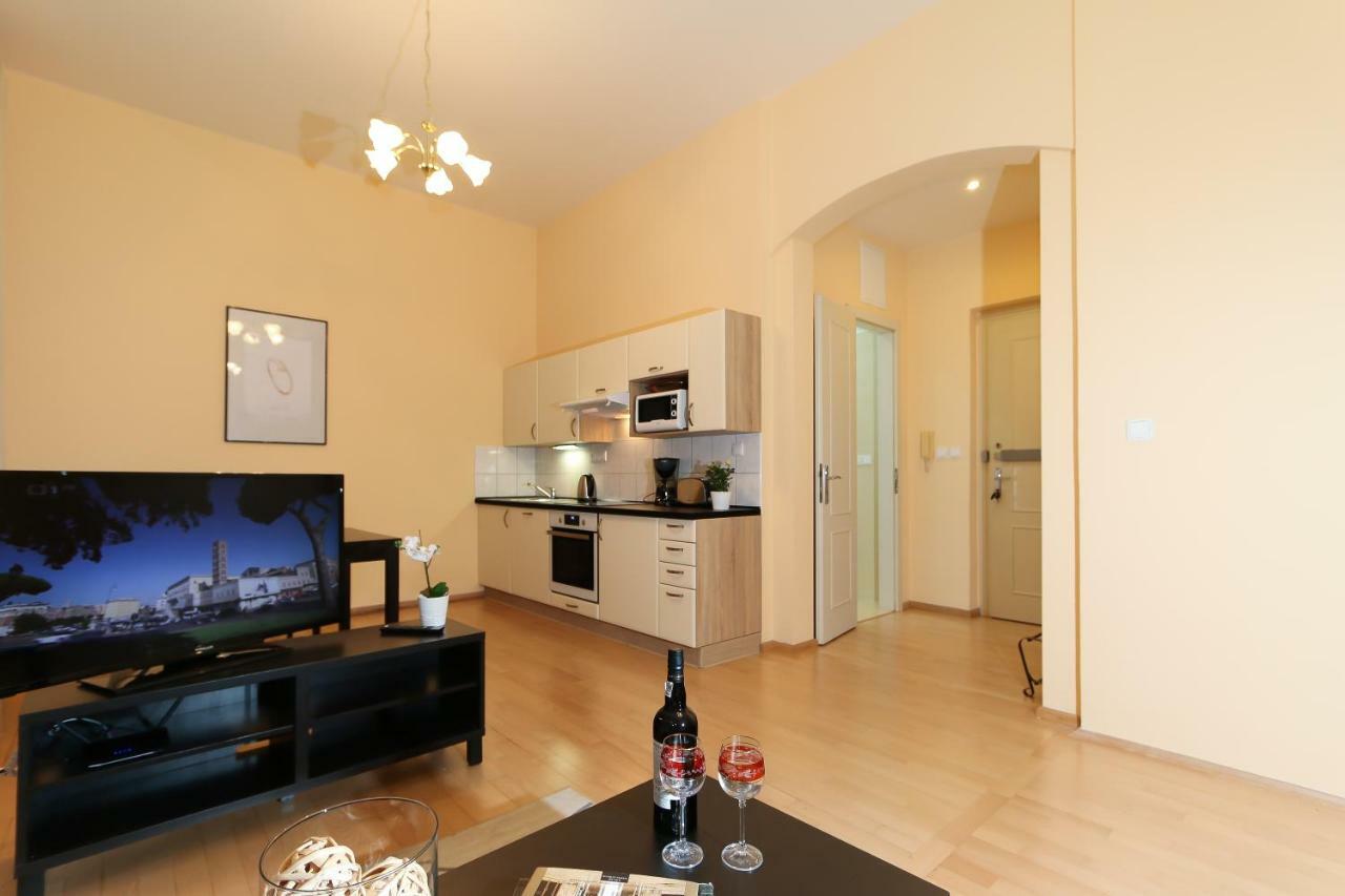 Vinohrady Belgicka Apartment *